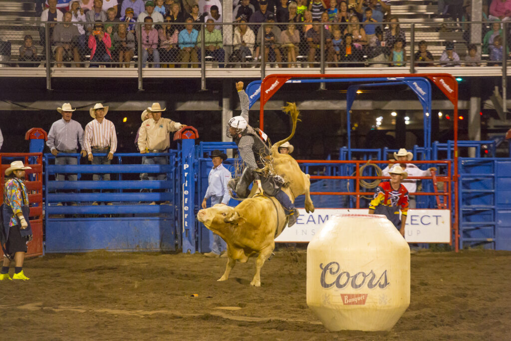 Pro Rodeo in Steamboat Springs with Bull Bucking and Cowboy